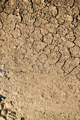 dry cracked soil texture background
