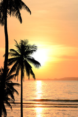 Naklejka na ściany i meble Coconut trees silhouette background sunset.