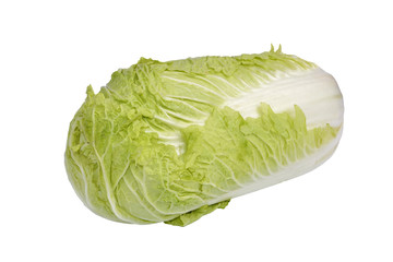 Chinese cabbage on white background