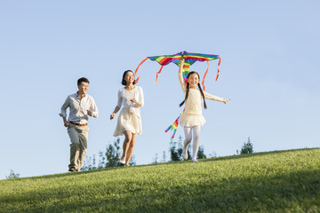 Cheerful young family flying a kite in a park