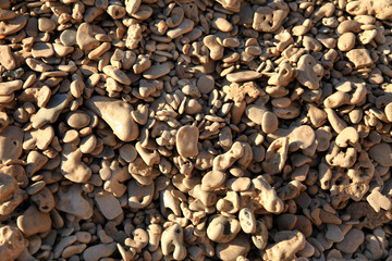 Beach Pebbles Background