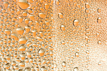Drops on the glass background
