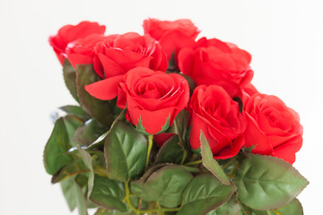 Red roses as Valentine gift