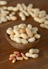 semi di arachide