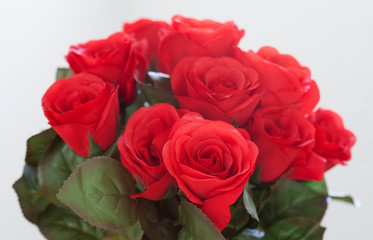 Red roses as Valentine gift