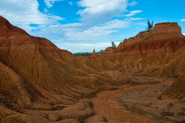Drought valley red sandstone rock formation in hot dry desert of Tatacoa, Huila