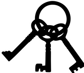 Obraz premium 3 keys on the ring