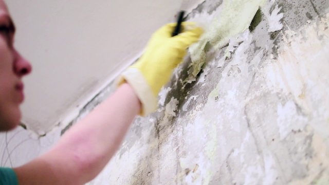 Repairs in the apartment - Wallpaper
