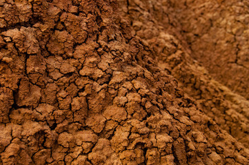 Closeup of Drought red orange sand stone rock formation in Tatacoa desert, Huila