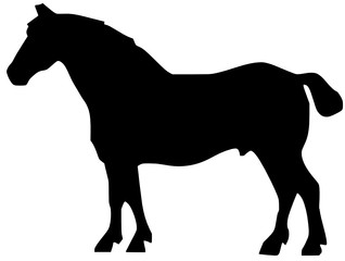 Fototapeta premium freight horse