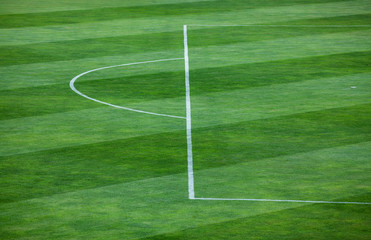 Close-up of striped pattern on grassy soccer field