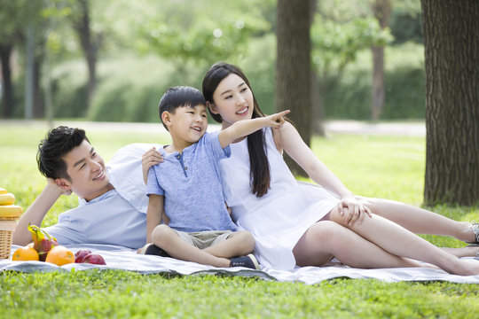 Happy young family having picnic on grass