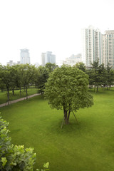 Urban green space, Shanghai