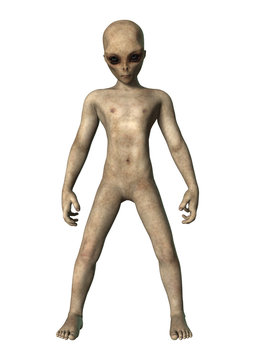 Fantasy Alien on White