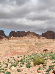 Valley in Petra