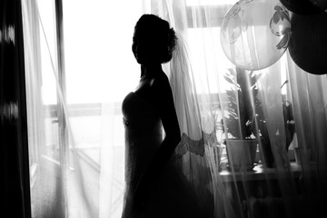Silhouette of bride 