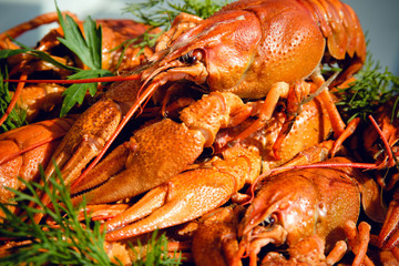 The Crayfish