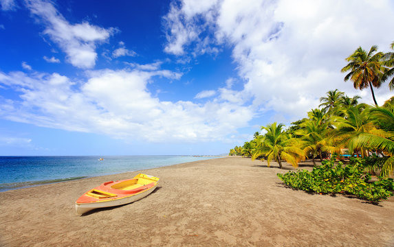 Experience Paradise: Exotic Beach Destination at Grande Anse Le Coin, Le Carbet in Martinique, Caribbean