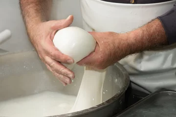 Fototapete Milchprodukte Zubereitung von Mozzarella in einer Molkerei