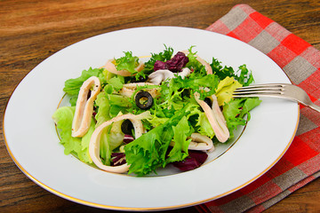 Salad Mix Batavian, Frise, Radicchio, Chicory, Squid