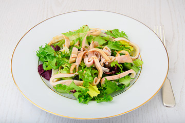 Salad Mix Batavian, Frise, Radicchio, Chicory, Squid