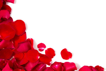 close up of red rose petals with copyspace