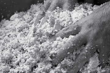 preparation of mozzarella in a dairy