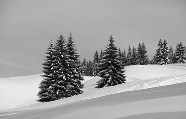Winterlandschaft