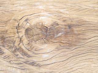 Gnarl wood .