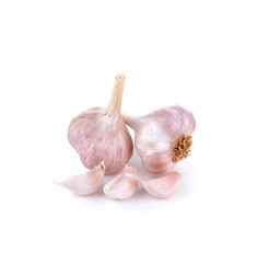 Fresh garlic  on white background