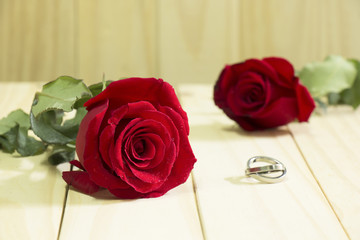 Two red roses and rings on wooden background