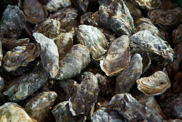 Huîtres de Marennes Oléron