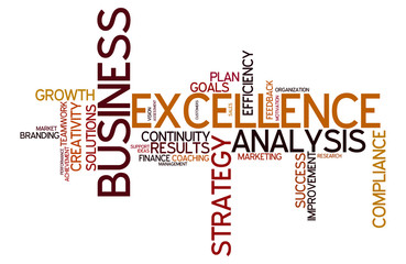 business word cloud for analysis, strategy and excellence