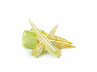 Baby corn on  white background