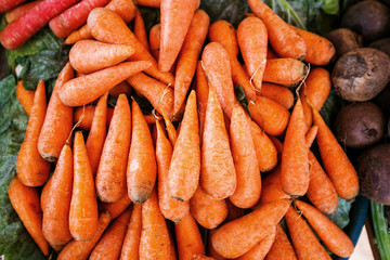 Many Carrot vegetable high vitamin and calcium , good for health