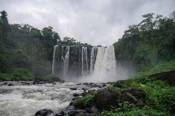 Waterfall Salto de Eyipantla, San Andres Tuxtla (Mexico)