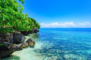 paradise tropical beach