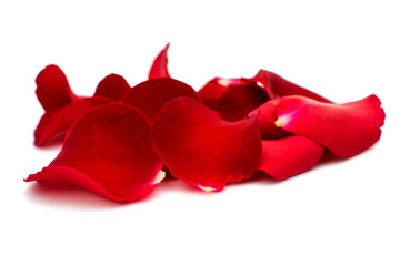 Red rose petals