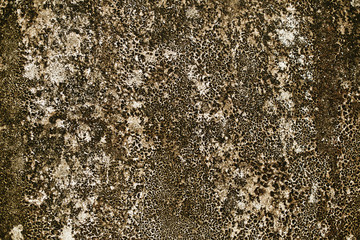 the background stone texture