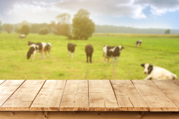 cows and wooden space 