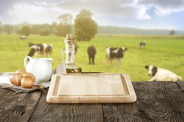 Fototapeta premium cows 