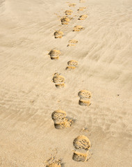 Footprints in the Sand