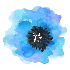 Watercolor illustration blue flower on a white background.  - 99643964
