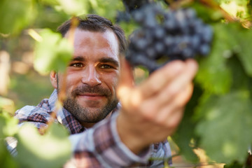Winemaker in vineyard