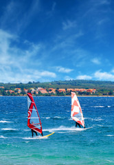 windsurf