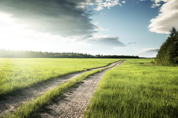 ground road and field of spring grass