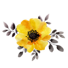 Watercolor illustrations of yellow flower isolated on white background. - 99645513