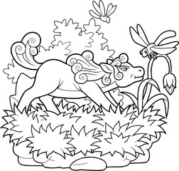 pony
