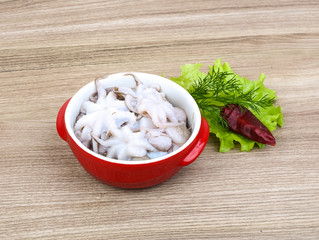 Raw baby octopus
