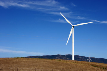 Windrad am blauen Horizont